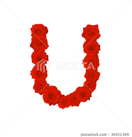The letter U, in the Alphabet bloom red roses The letter U, in the Alphabet bloom red roses 30912369