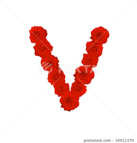 The letter V, in the Alphabet bloom red roses The letter V, in the Alphabet bloom red roses 30912370