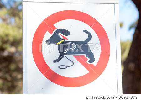 Dog run banned sign 30917372