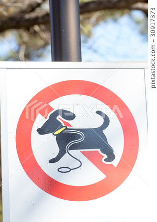 Dog run banned sign Dog run banned sign 30917373