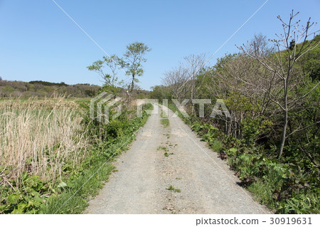 Agricultural road 30919631