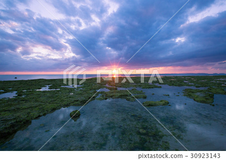 Setting sun 30923143