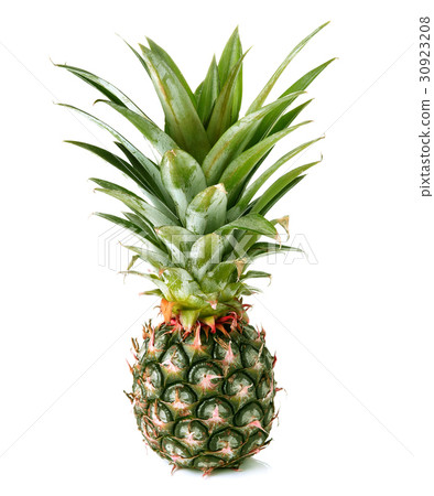 Pineapple isolated on white backgound Pineapple isolated on white backgound 30923208