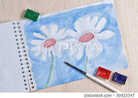 Chamomile with watercolor paint 30923347