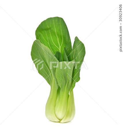 Bok choy on white Background.(chinese cabbage) Bok choy on white Background.(chinese cabbage) 30923406