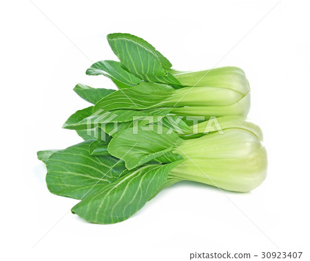 Bok choy on white Background.(chinese cabbage) Bok choy on white Background.(chinese cabbage) 30923407