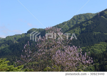 Tung and mountain 30923440