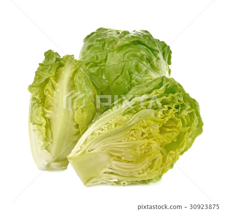 Romain Lettuce isolated on a white background Romain Lettuce isolated on a white background 30923875