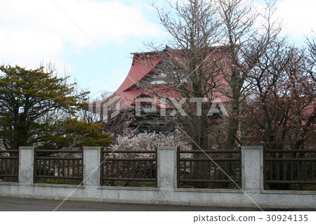 青龍寺和Chishimazakura 30924135