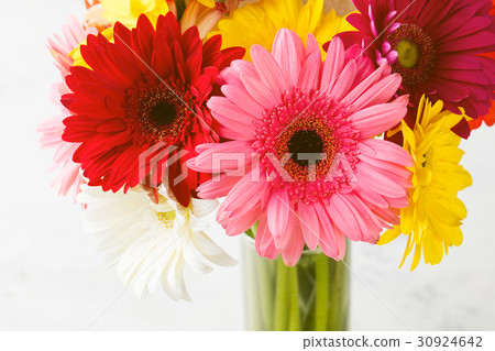 Colorful gerbera flowers on wooden background. Colorful gerbera flowers on wooden background. 30924642