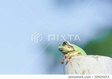 Easy to relax 30924853