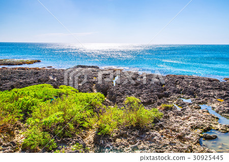 台灣屏東墾丁風光Asia Taiwan Kenting Coast 30925445