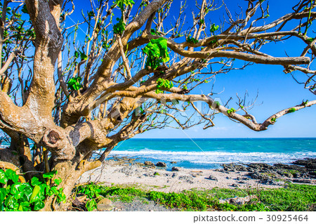 台灣屏東墾丁風光Asia Taiwan Kenting Coast 30925464