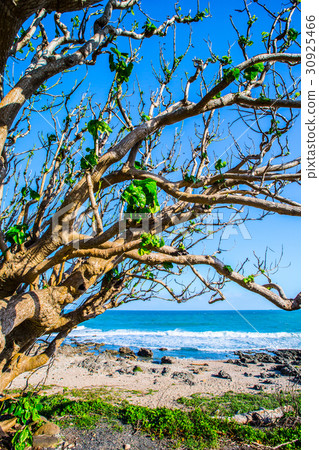 台灣屏東墾丁風光Asia Taiwan Kenting Coast 台灣屏東墾丁風光Asia Taiwan Kenting Coast 30925466