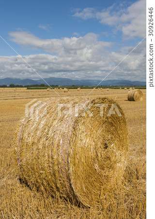 Straw Bale on Grain Field France 30926446