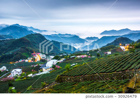 台灣嘉義阿里山雲海 Asia Taiwan Alishan Mountains 30926479