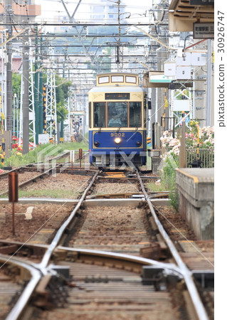 Timely Electric Arakawa Line Rose Train Timely Electric Arakawa Line Rose Train 30926747