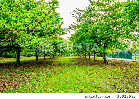 台灣屏東長治自行車道Asia Taiwan Pingtung Bicycle Road 台灣屏東長治自行車道Asia Taiwan Pingtung Bicycle Road 30928652