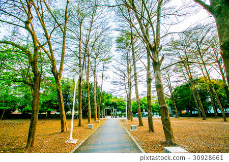台灣屏東長治自行車道Asia Taiwan Pingtung Bicycle Road 台灣屏東長治自行車道Asia Taiwan Pingtung Bicycle Road 30928661