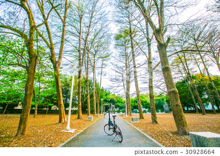 Taiwan Taiwan Pingtung Bicycle Road 30928664