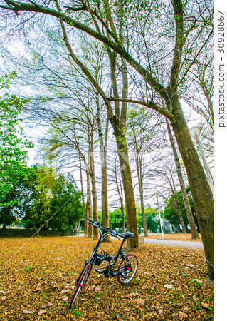 Taiwan Taiwan Pingtung Bicycle Road 30928667