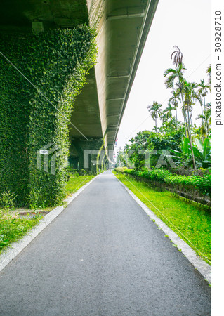 台灣屏東長治自行車道Asia Taiwan Pingtung Bicycle Road 台灣屏東長治自行車道Asia Taiwan Pingtung Bicycle Road 30928710