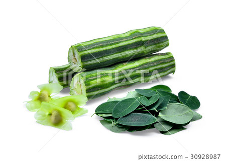 pod of  moringa (drumstick tree) with leaves 30928987
