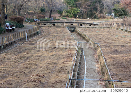 冬季花卉園 30929040