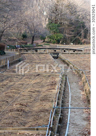 Winter Flower Garden Winter Flower Garden 30929041