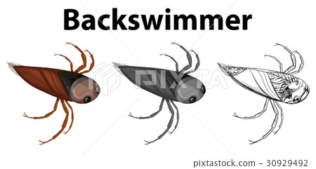Doodle character for backswimmer bug Doodle character for backswimmer bug 30929492