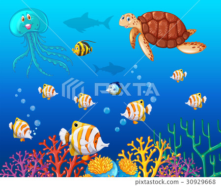 Many types of sea animals under the ocean Many types of sea animals under the ocean 30929668