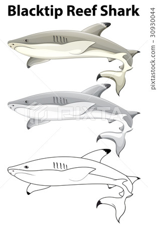 Doodle animal for blacktip reef shark Doodle animal for blacktip reef shark 30930044