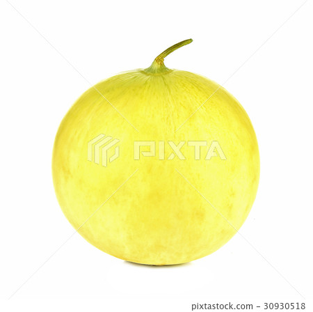 cantaloupe isolated on white background 30930518