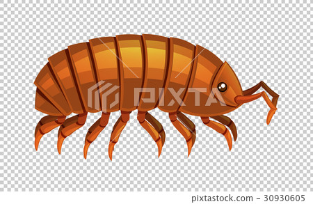 Lice on transparent background 30930605