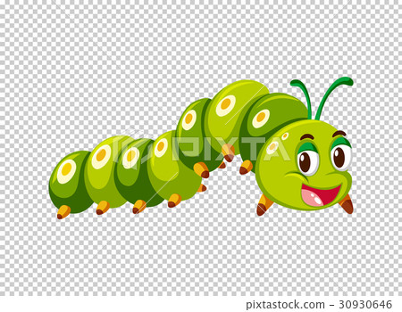 Caterpillar in green color Caterpillar in green color 30930646