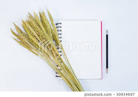 open note book with pencil and grass flowers 30934697