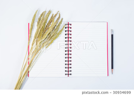 open note book with pencil and grass flowers  30934699