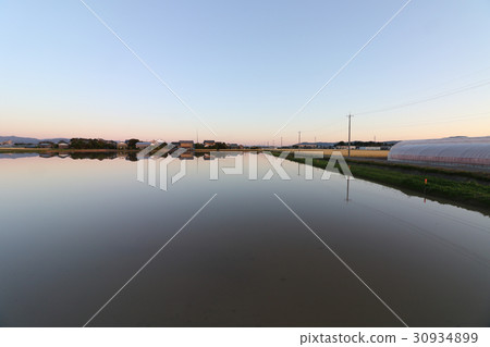 Spring rice fields Spring rice fields 30934899