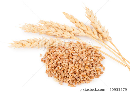 Ears of wheat Ears of wheat 30935379