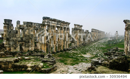 Great Colonnade Apamea in fog Syria 30936494