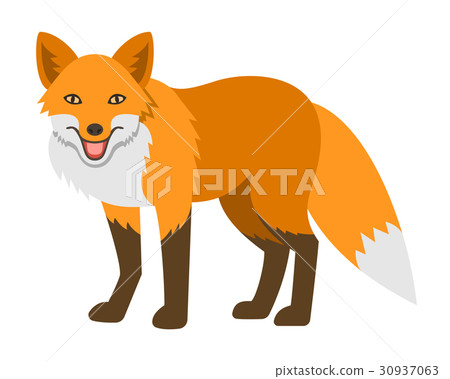 Cute smiling red fox cartoon illustration Cute smiling red fox cartoon illustration 30937063
