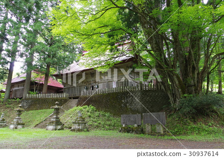 Shinshu Otari village's cultural assets Nakatani Omiya Suwa Shrine Shrine 200 pcs. 30937614