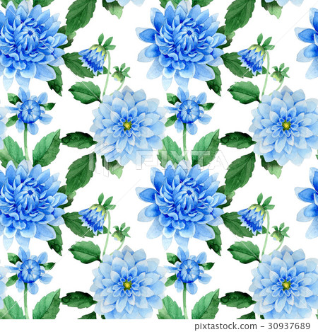 Wildflower blue dahila flower pattern in a 30937689
