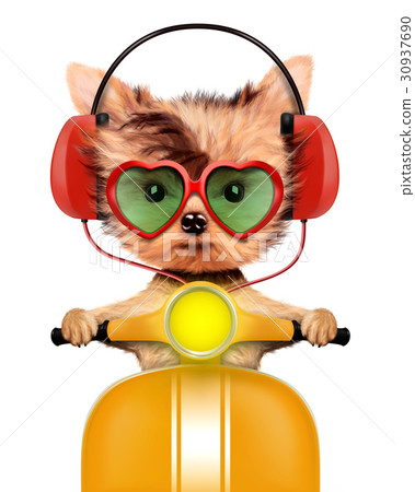 Adorable puppy with headphones sitting on moped 30937690