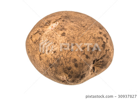 Organically grown potatoes Organically grown potatoes Organically grown potatoes Organically grown potatoes 30937827