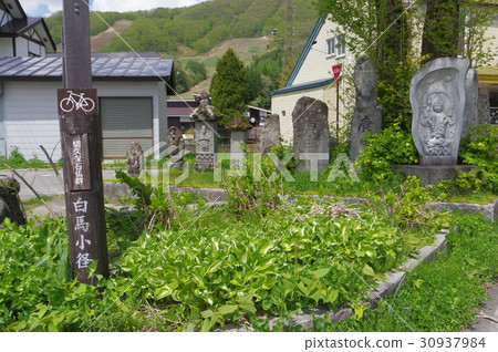 Shinshu Kitaazumi白馬文化遺產Kikubo的Kinshiga寺在江戶時代初期佛陀的信仰 30937984