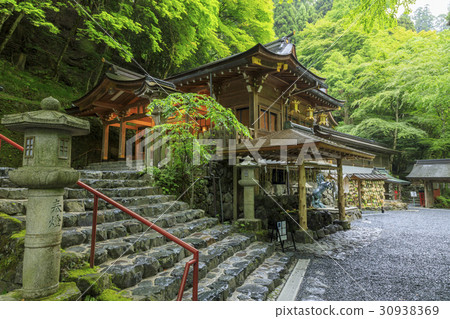 Fresh green Kifune Shrine Fresh green Kifune Shrine 30938369