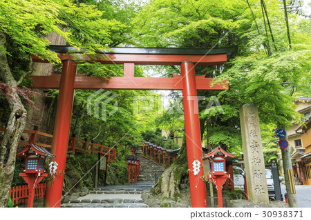 Fresh green Kifune Shrine 30938371
