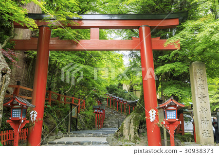 Fresh green Kifune Shrine Fresh green Kifune Shrine 30938373