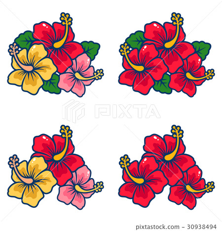 Flower · Illustration (Hibiscus / hibiscus) 05 Flower · Illustration (Hibiscus / hibiscus) 05 30938494